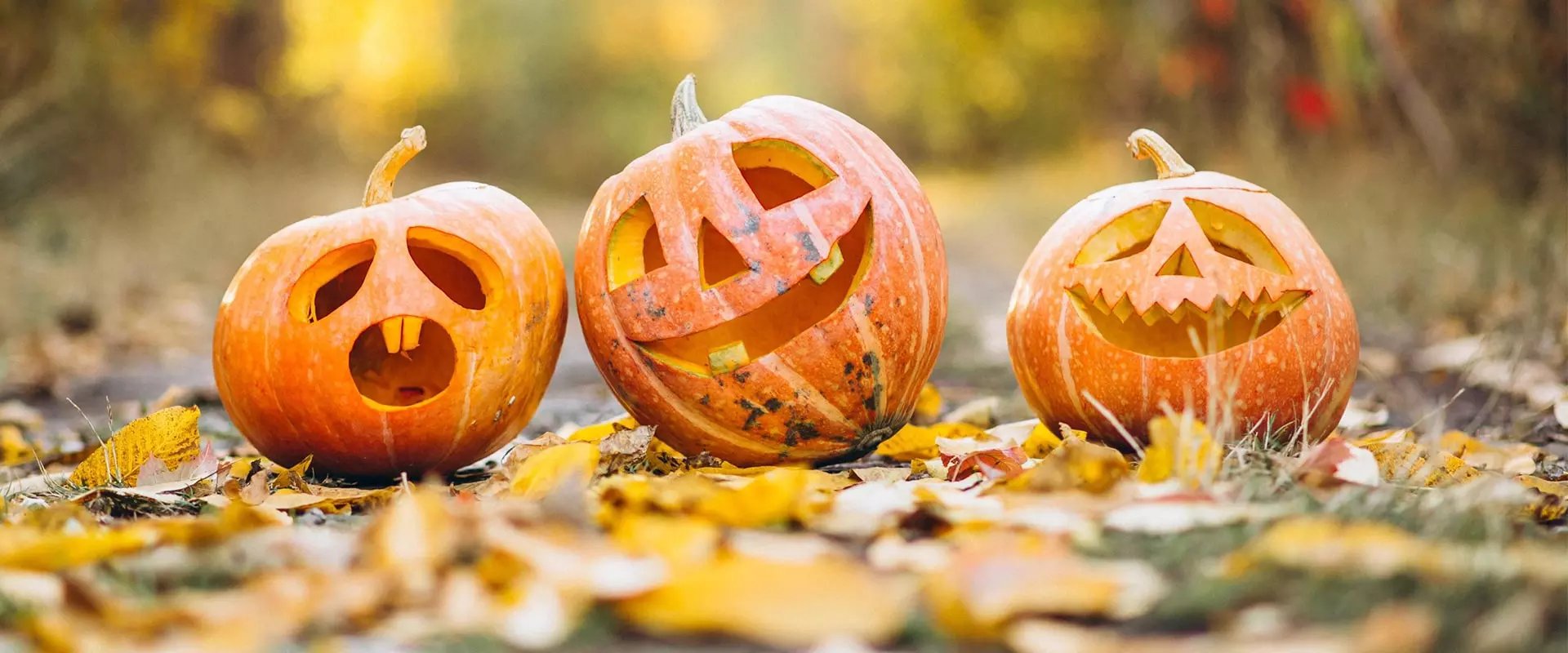 Theme Pour Une Soiree Halloween Qui Fait Peur Les secrets pour organiser une fête d'Halloween effrayante | TÉLÉSAT
