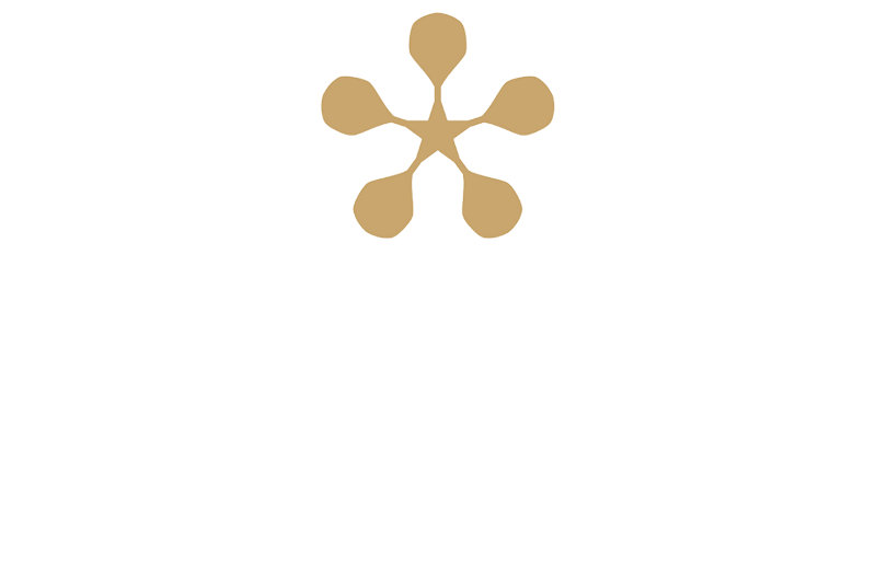 premier padel