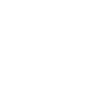 INPLUS