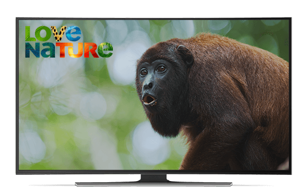 De beste Films en Series on demand | Online.nl