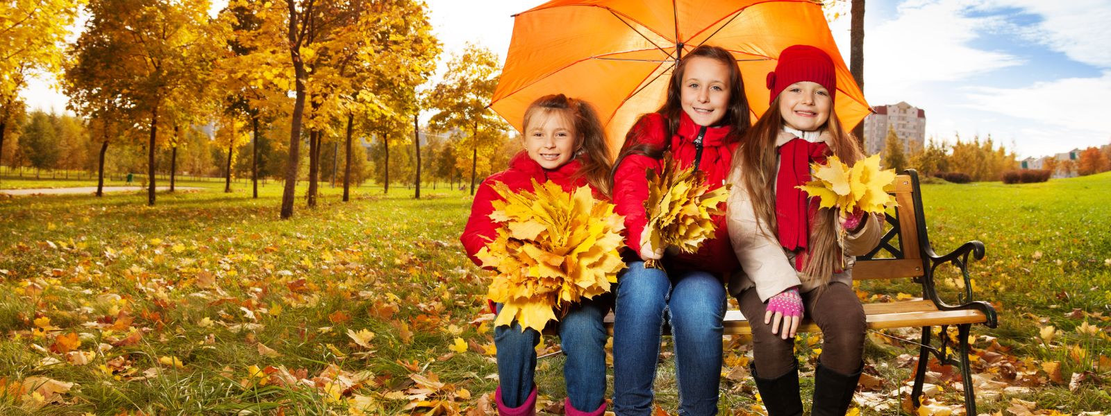 Herfstvakantie 2024: de leukste activiteiten en tips | TV VLAANDEREN